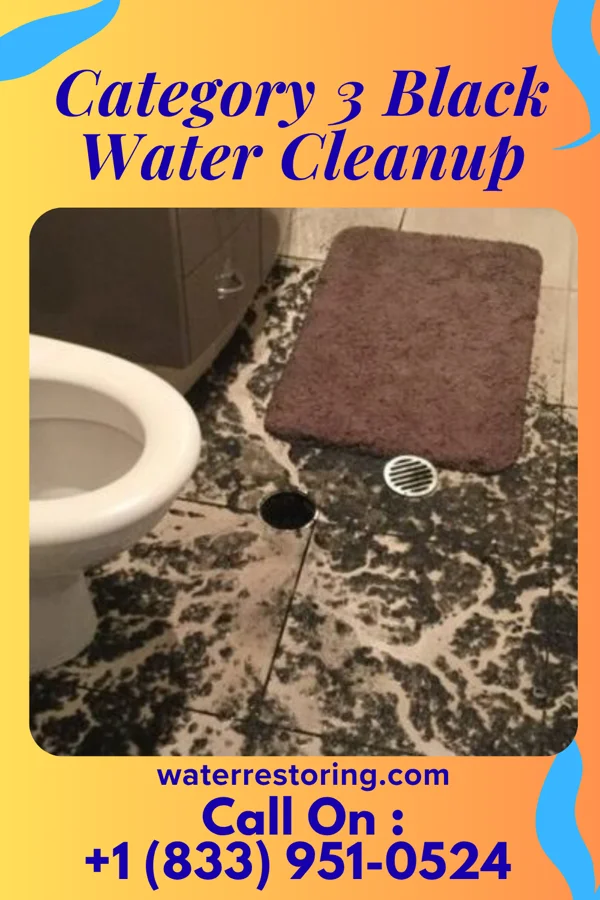 Category 3 Black Water Cleanup in Darlington, IN