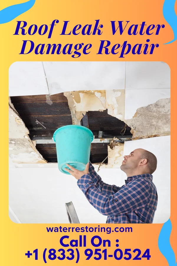Roof Leak Water Damage Repair in Darlington, IN