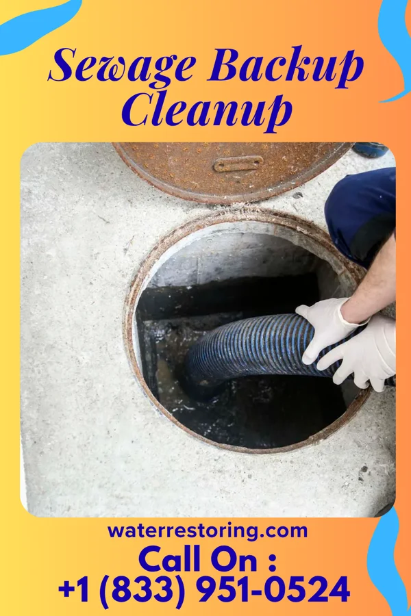 Sewage Backup Cleanup in Darlington, IN